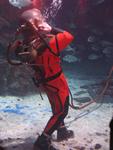 IMG_2380 IMG_2380