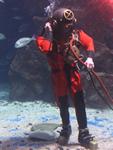 IMG_2381 IMG_2381