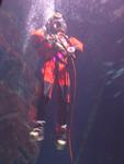 IMG_2383 IMG_2383