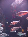 IMG_2384 IMG_2384