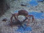 IMG_2388 IMG_2388