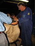 IMG_2453 IMG_2453