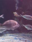 IMG_2486 IMG_2486
