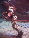 IMG_2493 IMG_2493