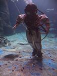 IMG_2494 IMG_2494