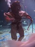 IMG_2497 IMG_2497