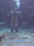 IMG_2498 IMG_2498