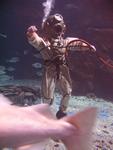IMG_2503 IMG_2503