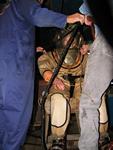 IMG_2512 IMG_2512