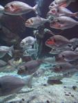 IMG_2682 IMG_2682
