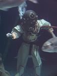 IMG_2683 IMG_2683