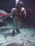 IMG_2684 IMG_2684