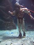 IMG_2685 IMG_2685