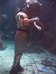 IMG_2695 IMG_2695