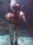 IMG_2703 IMG_2703