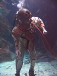 IMG_2704 IMG_2704