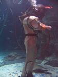 IMG_2705 IMG_2705