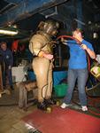 IMG_2718 IMG_2718