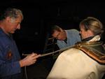 IMG_2569 IMG_2569