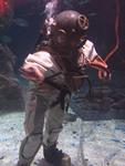IMG_2580 IMG_2580