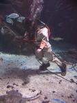 IMG_2590 IMG_2590