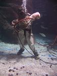 IMG_2591 IMG_2591