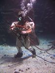 IMG_2594 IMG_2594