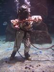 IMG_2597 IMG_2597