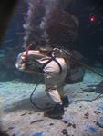 IMG_2603 IMG_2603