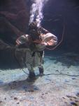 IMG_2604 IMG_2604