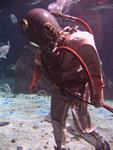 IMG_2626 IMG_2626