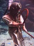 IMG_2627 IMG_2627