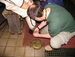 IMG_2398 IMG_2398