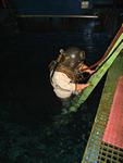 IMG_2423 IMG_2423