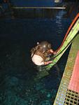 IMG_2424 IMG_2424