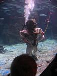 IMG_2442 IMG_2442