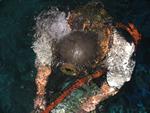 IMG_2537 IMG_2537