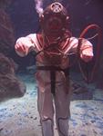 IMG_2539 IMG_2539