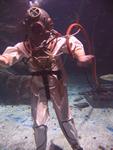 IMG_2544 IMG_2544
