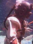 IMG_2545 IMG_2545
