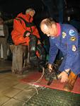 IMG_2733 IMG_2733