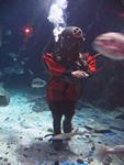 IMG_2763 IMG_2763