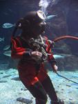 IMG_2766 IMG_2766