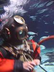 IMG_2771 IMG_2771