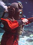 IMG_2774 IMG_2774