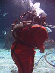 IMG_2775 IMG_2775