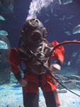 IMG_2781 IMG_2781