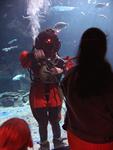 IMG_2783 IMG_2783