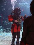 IMG_2784 IMG_2784