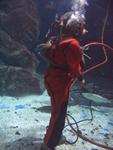 IMG_2791 IMG_2791